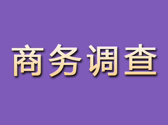 弓长岭商务调查